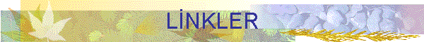 LNKLER