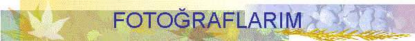 FOTORAFLARIM